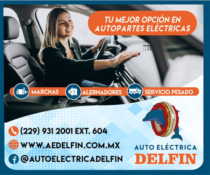 Autoeléctrica Delfín