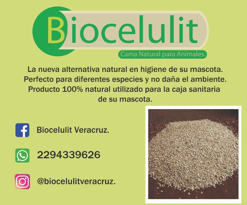 BIOCELULIT