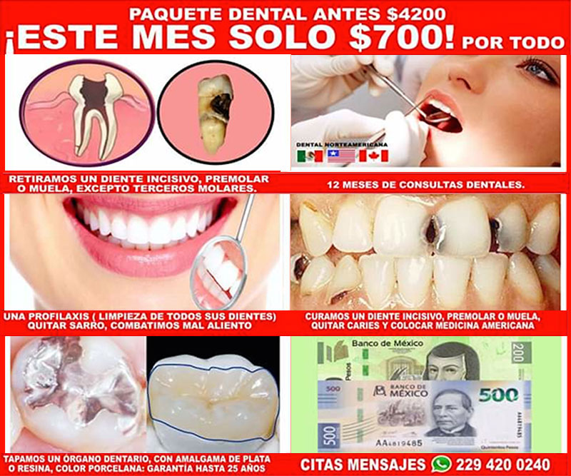 Dental Norteamericana