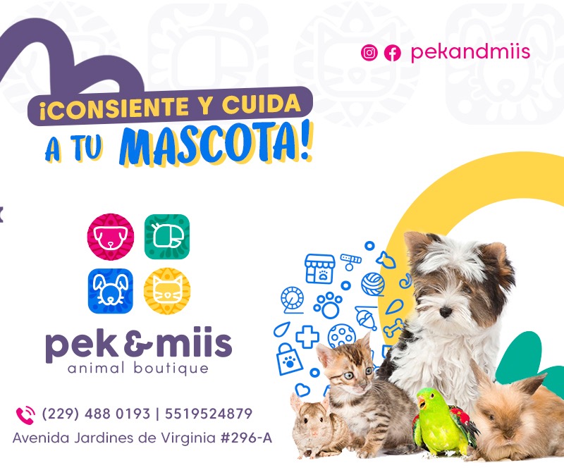 Pek & Miis | Animal Boutique