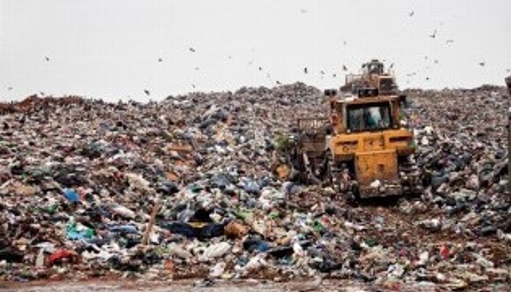 Tira México a la basura 20 millones de toneladas de alimento al año: Banco Mundial