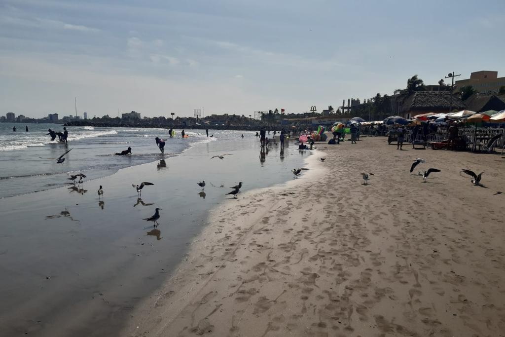 Oceanógrafo explica por qué se da el fenómeno de la marea baja o baja