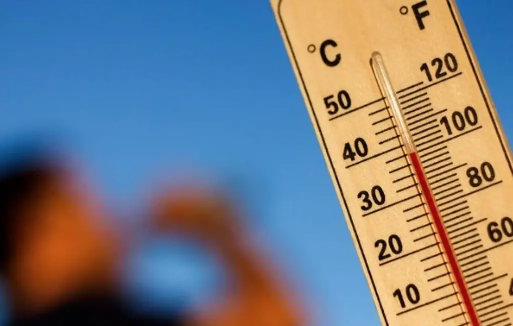 Imagen Inviernos serán más calurosos y podrían alcanzar hasta 41 grados: investigadora de la UV