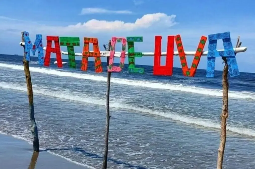 Imagen ¿Vas a la playa? Checa estas recomendaciones 