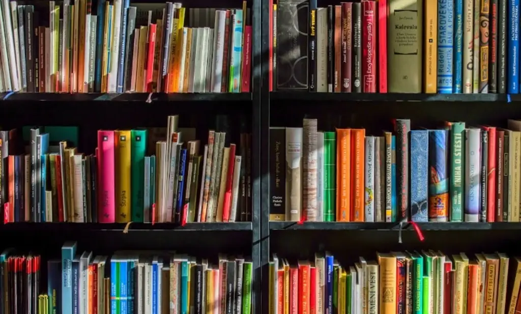 Imagen Invitan a leer 'Allá, en un pueblo llamado cuatro tumbas, una vez, una niña lechuza'