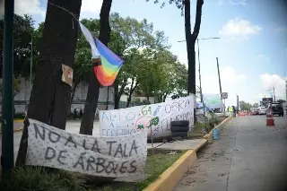 Juez ha pedido 2 veces a SIOP modificar trazo de paso vehicular en Lázaro Cárdenas
