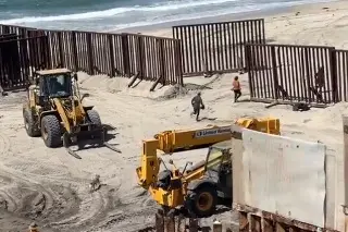 Perrito aprovecha descuido y cruza a EU junto con migrantes (+Video)