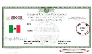 Tener CURP con foto podría identificar más fácil e inequívoca a la persona: Abogada 