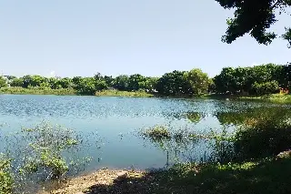 Ciudadanos quieren poner el ejemplo cuidando así las lagunas de Veracruz