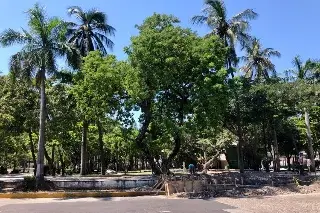 ¿Qué prefieres ver en el Parque Zamora: la fuente de las sirenas o estatua de Agustín Lara?