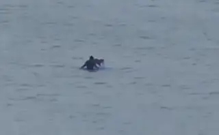 Con lluvia y viento, hombre se mete con su perro al mar en el puerto de Veracruz 