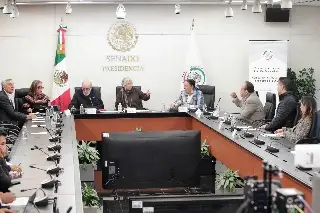 Eréndira Cruzvillegas comparece ante Comisión del Senado; critica al sistema de justicia