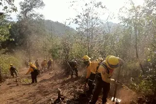 Liquidan incendio forestal en Soledad Atzompa, informa PC de Veracruz
