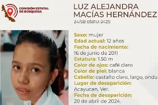 Imagen Desaparece menor de 12 años al sur de Veracruz