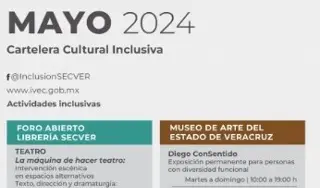 Invitan a las actividades con enfoque inclusivo en el puerto de Veracruz y 4 municipios
