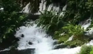 ¿Cómo llegar al lugar 'Nace un río, un oasis en Veracruz'?