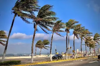 Frente frío llegaría a Veracruz; ¿Cuándo y de cuánto serían las rachas de viento?