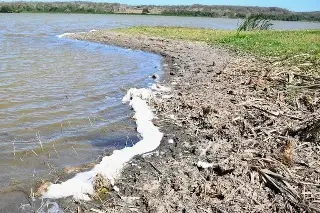 Urgen rescatar lagunas de Veracruz