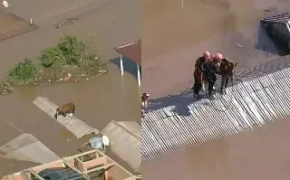 Rescatan a caballo que quedó atrapado en techo por las inundaciones en Brasil (+video)