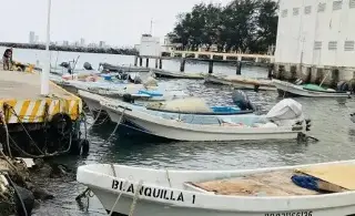 Baja la producción de pescado por altas temperaturas en Veracruz 