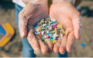Detectan presencia de microplásticos en siete lagunas en Veracruz 