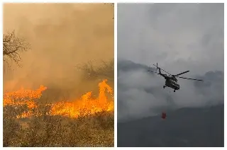 Incendios forestales han afectado casi 5 mil hectáreas de bosque en Veracruz: Conafor