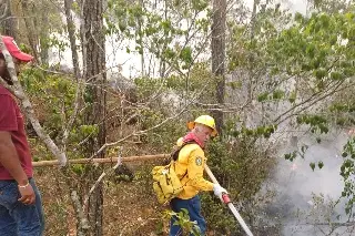 Combaten 10 incendios forestales en Veracruz
