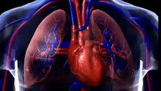 Forma de las venas pulmonares al llegar al corazón puede provocar mayor riesgo de trombos: Estudio 