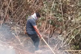 Varios días podría demorar la liquidación total de incendio forestal en Río Blanco: Especialistas