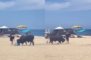 '¡Ay, la señora!'... toro embiste a mujer en una playa; así captaron el momento (+Video)