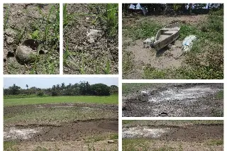Una más en la lista de las que se han secado en Veracruz: La Laguna Tarimoya