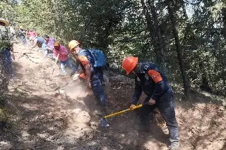 Imagen Controlan en su totalidad incendio forestal en el Cofre de Perote
