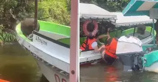 Imagen Mono se sube a lancha en Catemaco; turistas se lanzaron al agua por miedo
