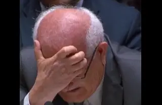 Imagen Embajador de Palestina rompe en llanto en Consejo de Seguridad de la ONU (+Video)