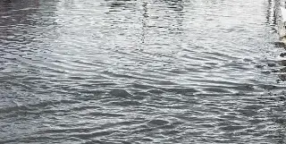 Imagen Alerta Gris por aumento en potencial de lluvias y tormentas; precaución