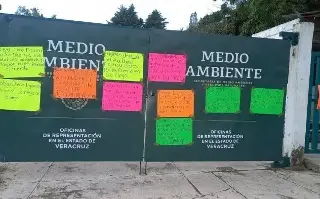 Imagen Silvicultores de Perote protestan nuevamente frente a Semarnat en Xalapa