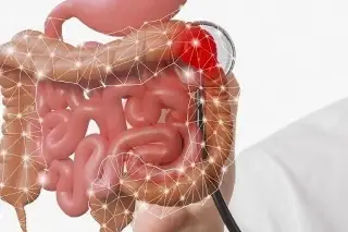 Imagen Estudio detecta cáncer colorrectal mediante bacterias presentes en el intestino
