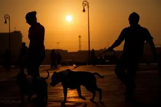 Imagen Estudio: Exposición continua a las olas de calor acelera el ritmo de envejecimiento