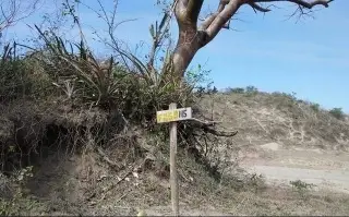 Imagen Confirman hallazgo de 60 cuerpos en fosa de Sonora; ya hay detenidos