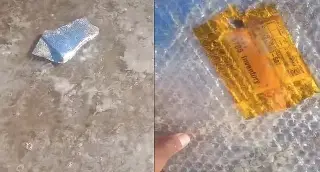 Imagen Encuentran basura espacial y delfines muertos en playa 