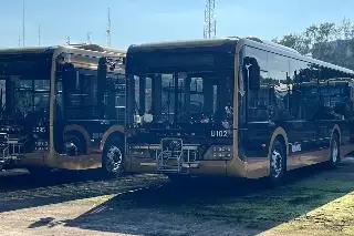 Imagen Llegan 40 camiones Ulúa a Veracruz