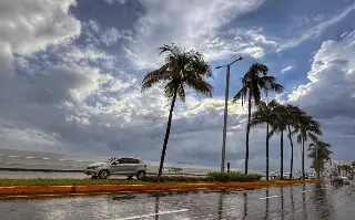 Imagen ¿Lloverá en Veracruz en los próximos días? Esto dice el pronóstico