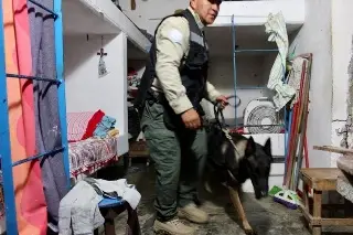 Imagen Graban a policías municipales haciendo lo que no deben. Fiscalía investiga caso (+Video)