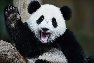 Da clic